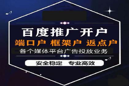 SEM广告投放的技巧与策略——成功案例分享